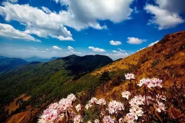 最高峰穿洞子横空出世,高耸入云,海拔4196米,为攀枝花市第一高峰.