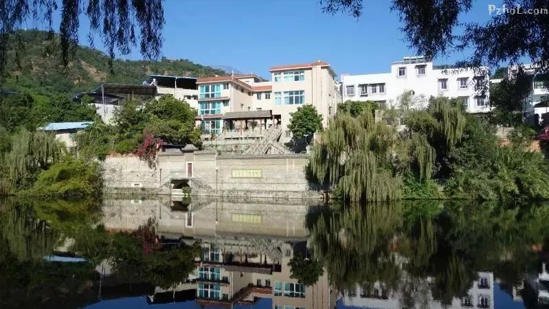“体检报告”：1—11