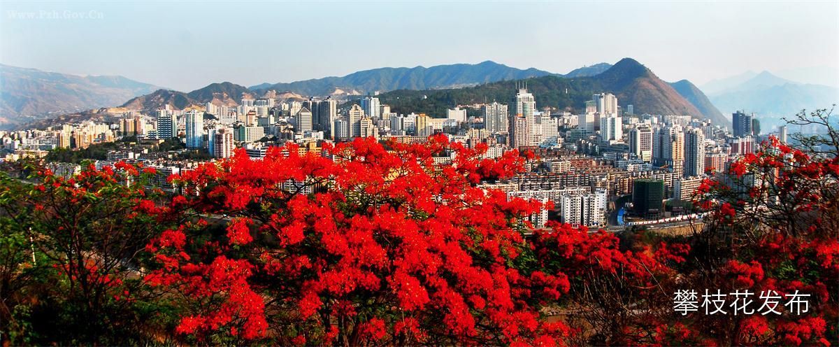 【聚焦】阳光攀枝花, 康养产业助力钢城华丽转身