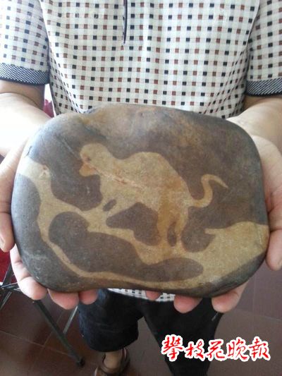 这块“奇石”价值1000万？