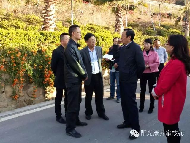 ������Ǹ�����ﻨ