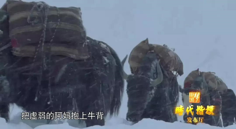 致敬！一家三代人，半个多世纪，守护着中国人口最少的乡，为了一个最神圣的承诺！