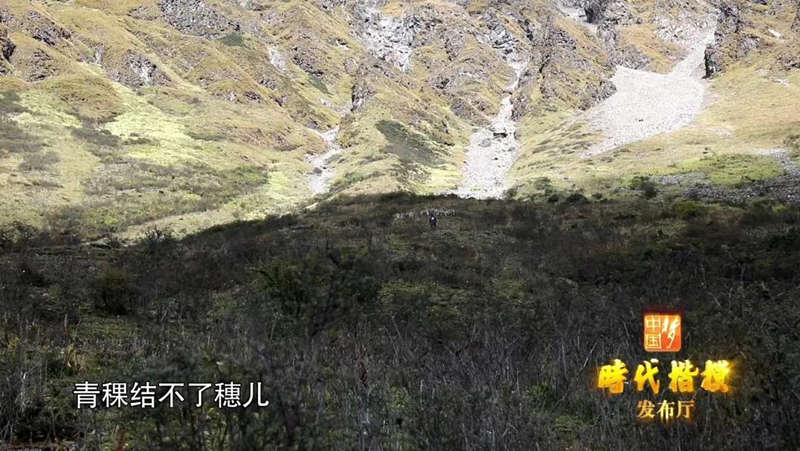 致敬！一家三代人，半个多世纪，守护着中国人口最少的乡，为了一个最神圣的承诺！