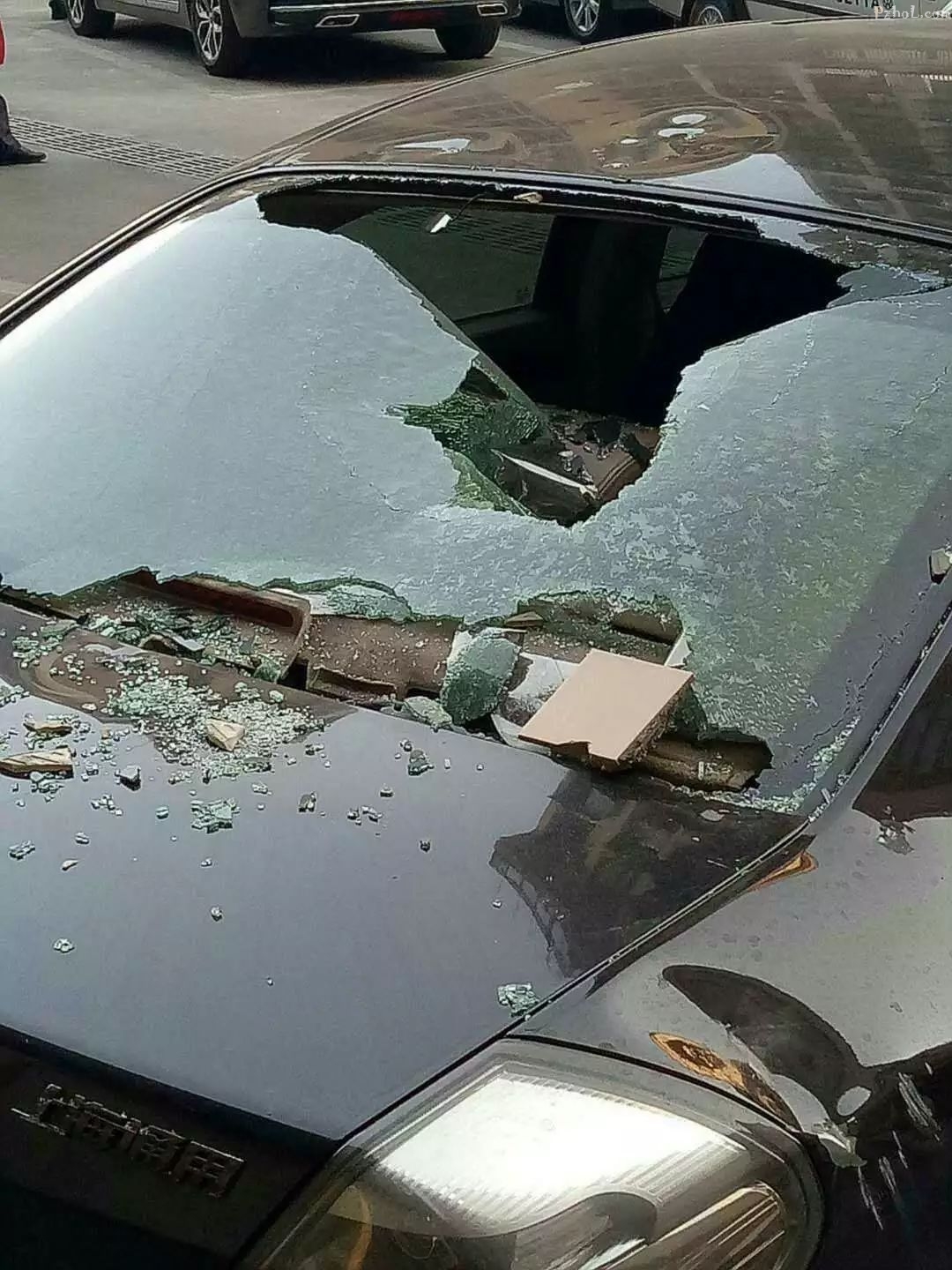 大风吹落瓷砖,东风一小轿车被砸坏!小攀攀风季来了,这些事情要注意