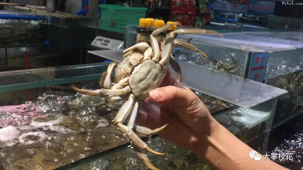 又到了一年一次吃螃蟹的时间,攀枝花菜市场卖出了这个价格,你买不?